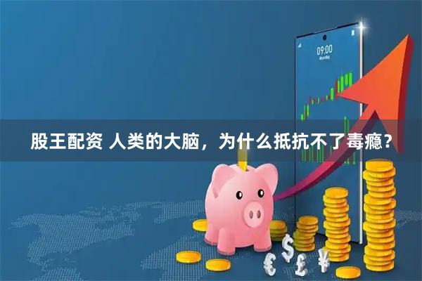 股王配资 人类的大脑，为什么抵抗不了毒瘾？
