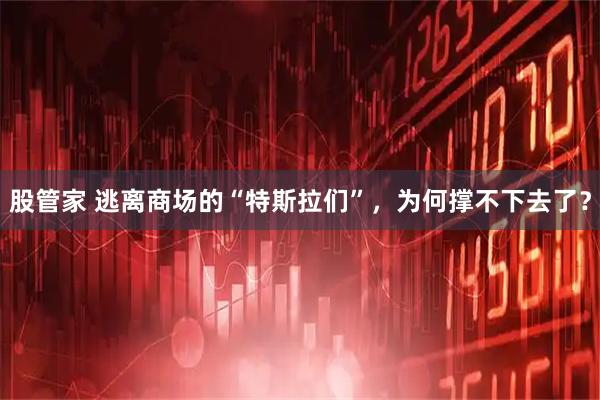 股管家 逃离商场的“特斯拉们”，为何撑不下去了？